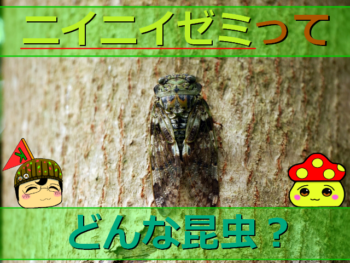 Thumbnail of post image 021